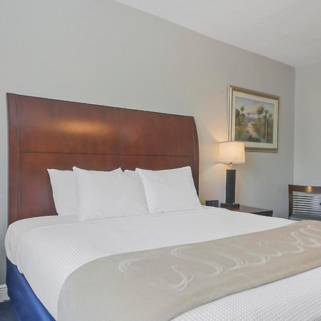 Crystal Bay Historic Hotel St. Petersburg Ngoại thất bức ảnh